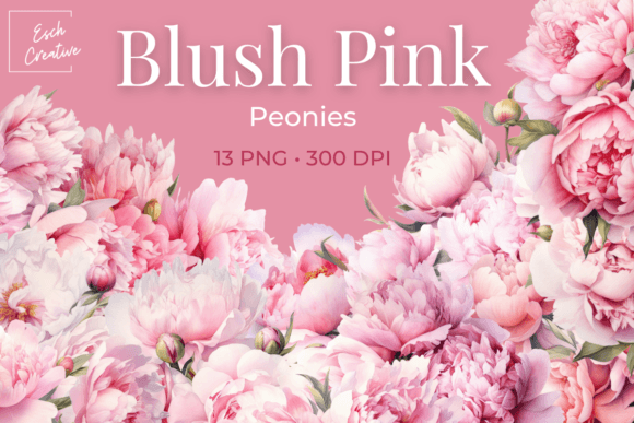 Download Blush Pink Peonies Watercolor Flowers - Flow Collection